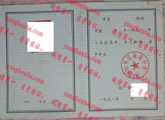 金山屯区高级中学毕业证样本