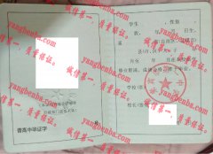 来宾市第一中学毕业证样本