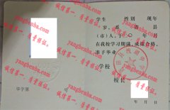 蓝田县洩湖中学毕业证样本