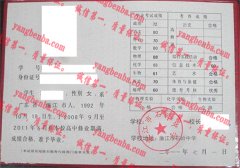 廉江市石岭中学毕业证样本