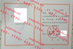 林口县第四中学毕业证样本