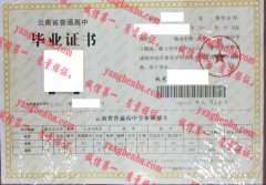 临沧市第一中学毕业证样本