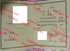 隆回县第九中学毕业证样本