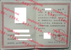 娄底市第一中学毕业证样本