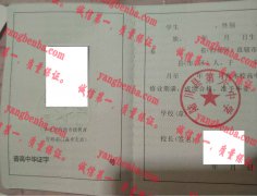 陆川县第六中学毕业证样本