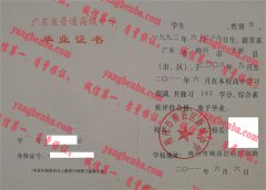 梅州市梅县区新城中学毕业证样本