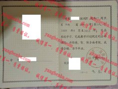 泌阳县第一高级中学毕业证样本