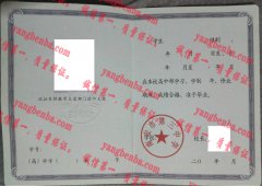 南安市第三中学毕业证样本