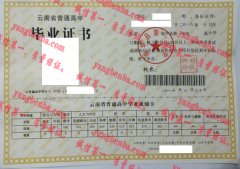 南华县第一中学毕业证样本