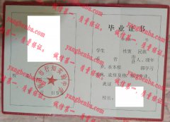 南京市行知实验中学毕业证样本