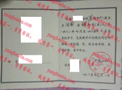 南阳市第一中学毕业证样本