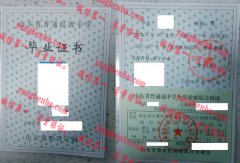 宁津县第一中学毕业证样本