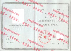 宁德市第二中学毕业证样本