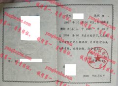 濮阳市外国语学校毕业证样本