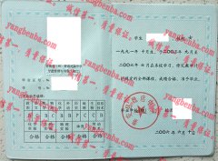 秦安县魏店中学毕业证样本