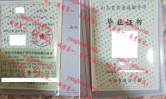 山东泗水县第二高级中学毕业证样本