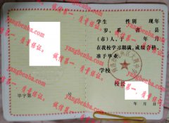 商洛市商州区大荆中学毕业证样本