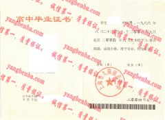 上海市久隆模范中学毕业证样本