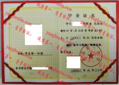 莘县第一中学毕业证样本