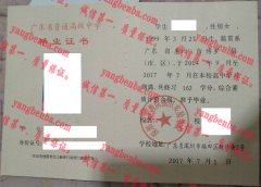 深圳市沪教院福田实验学校毕业证样本