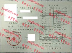 沈阳市东兴中学毕业证样本