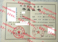 四川省阆中东风中学校毕业证样本