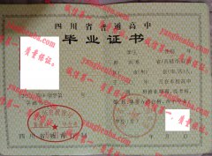 四川省乐至县大佛中学毕业证样本