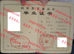 四川省仁寿县第二中学毕业证样本