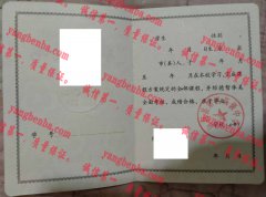 唐河县第四高级中学毕业证样本