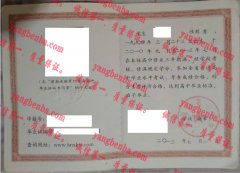 桃源县第三中学毕业证样本