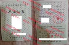 滕州市第二中学毕业证样本