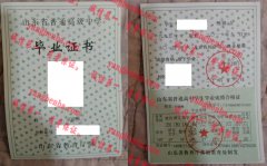 滕州市第五中学毕业证样本