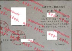 涡阳县第四中学毕业证样本