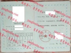 武威市第八中学毕业证样本