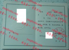 项城市第二高级中学毕业证样本