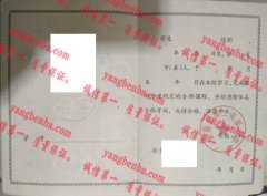 新蔡县第二高级中学毕业证样本