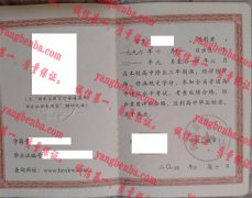 溆浦县第三中学毕业证样本