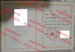 伊春市友好区第三中学毕业证样本