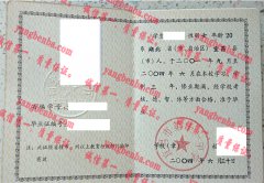 宜昌市第十一中学毕业证样本