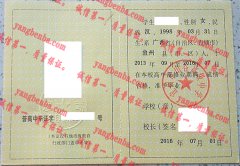 宜州市山谷高级中学毕业证样本