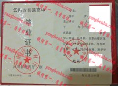 云南省文山县第二中学毕业证样本