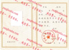 长春市第一五一中学毕业证样本