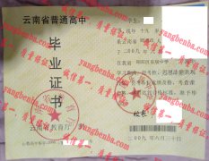 昭阳区乐居中学毕业证样本