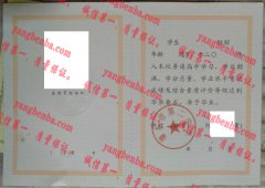 肇东市第二中学毕业证样本