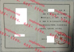 周口市淮阳区第一中学毕业证样本