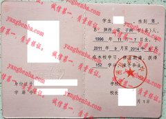 子洲县第三中学毕业证样本