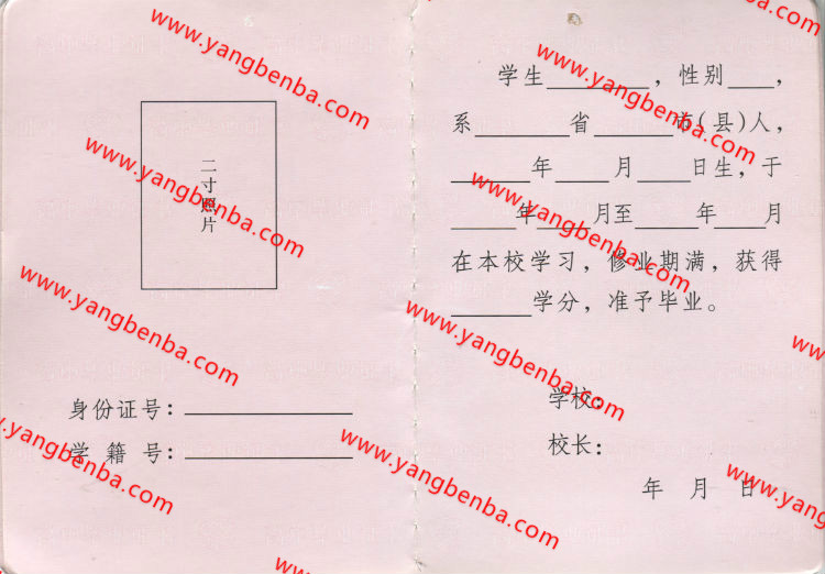 陕西省高中毕业证样本内页2