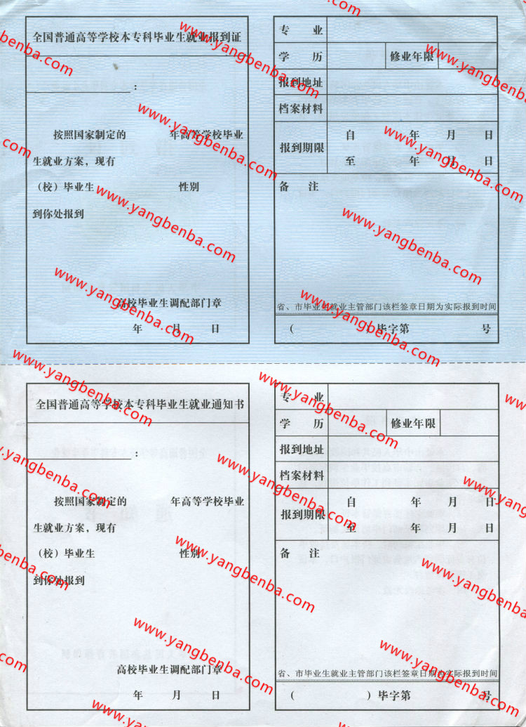 报到证样本内页