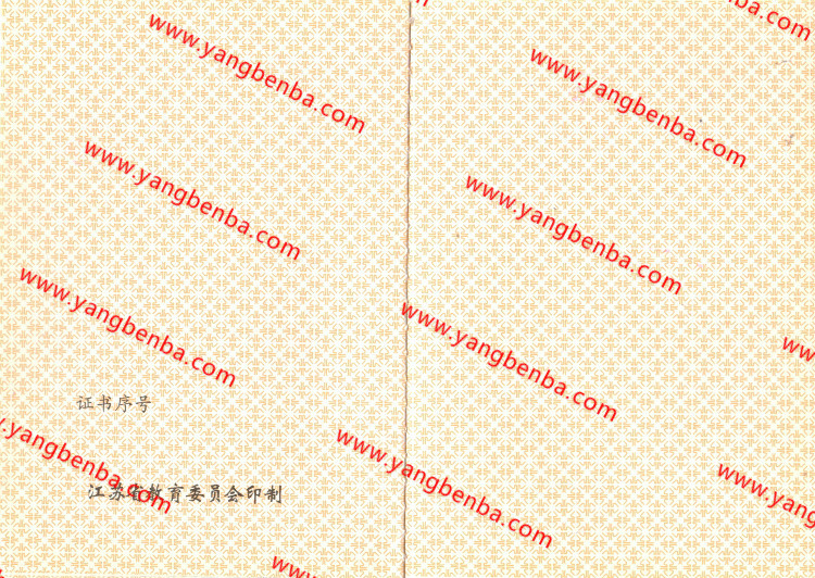 江苏省中专毕业证样本内页3