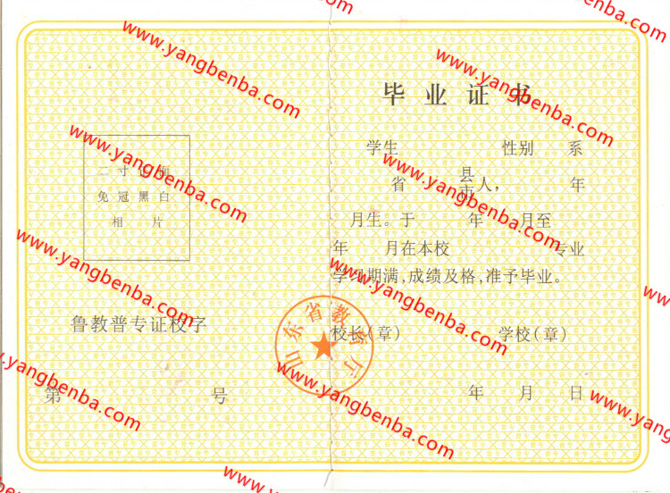 山东省中专毕业证样本内页3